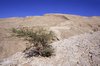 Mountains - Eastern Hajar
